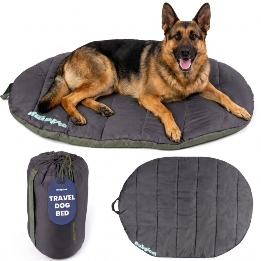 Travel Dog Bed – Foldable, Lightweight, Water Resistant Mat
