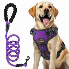 Leash/harness and doggy bags￼￼
