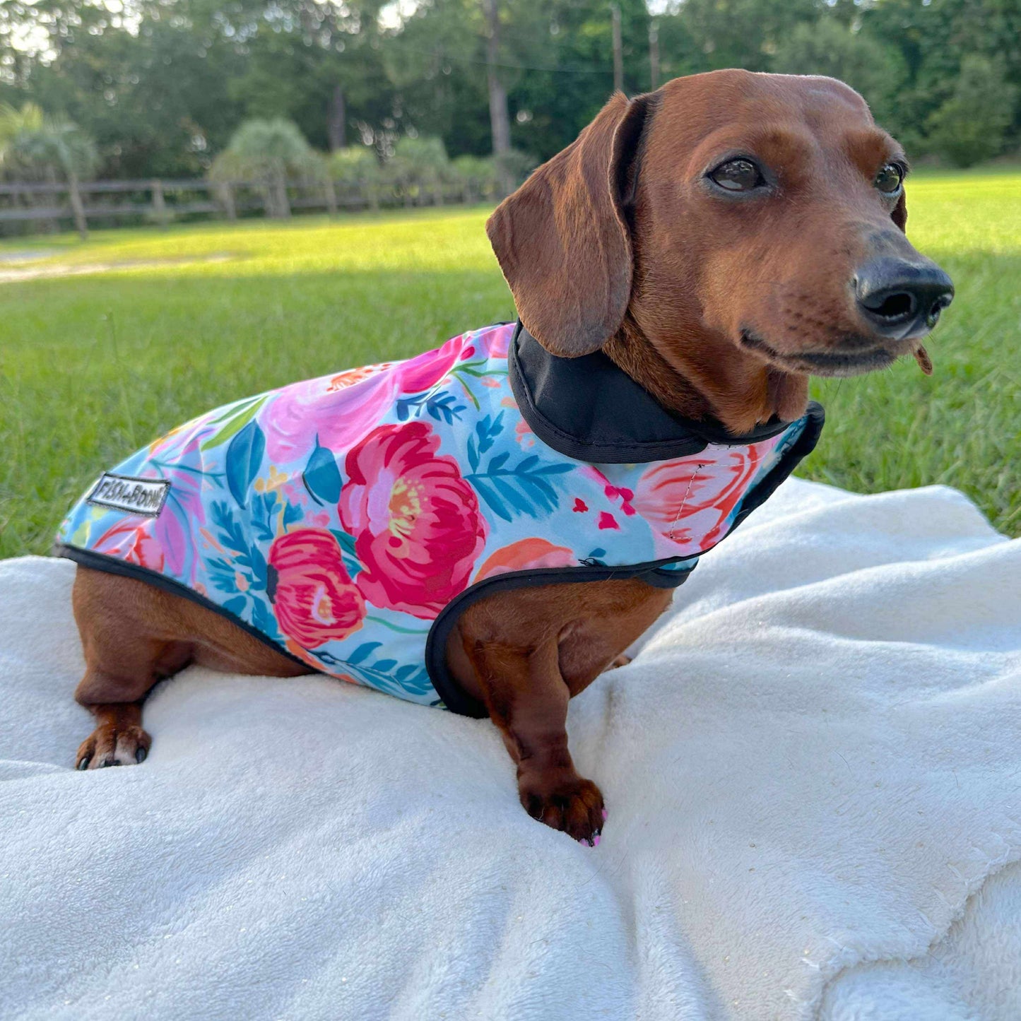 Southern Bloom Dog Coat