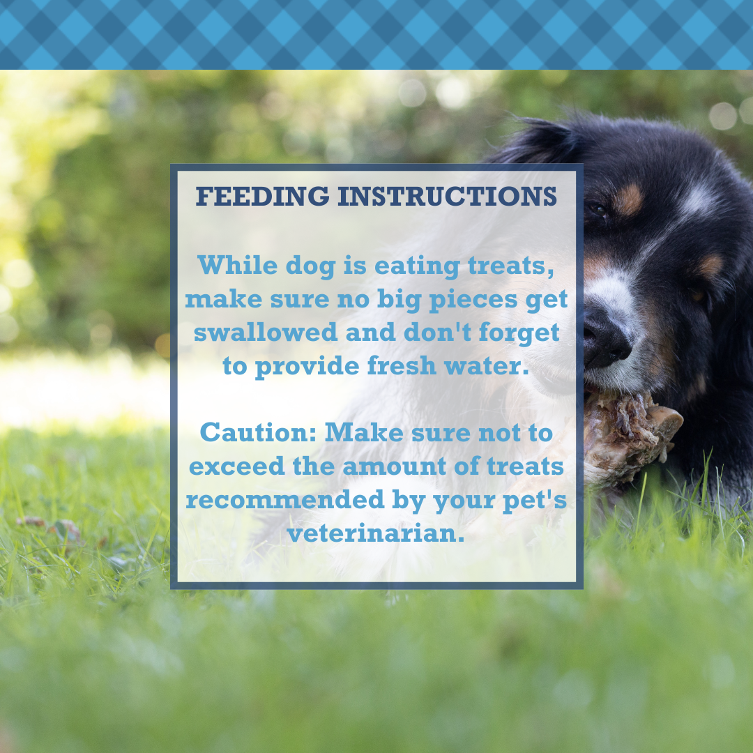 Country Living All-Natural Beef Trachea Dog Treats, Protein-Packed Chews – 12 Inches (5-Pack)