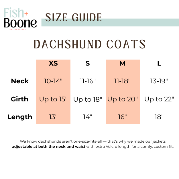Southern Bloom Dog Coat