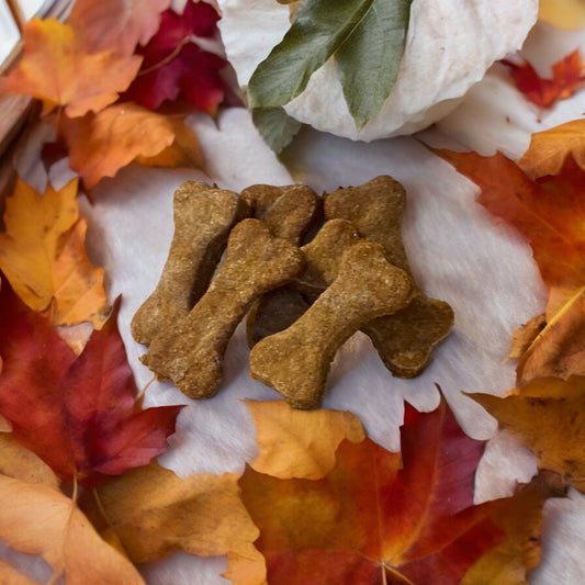 Low-Fat Pumpkin Treats