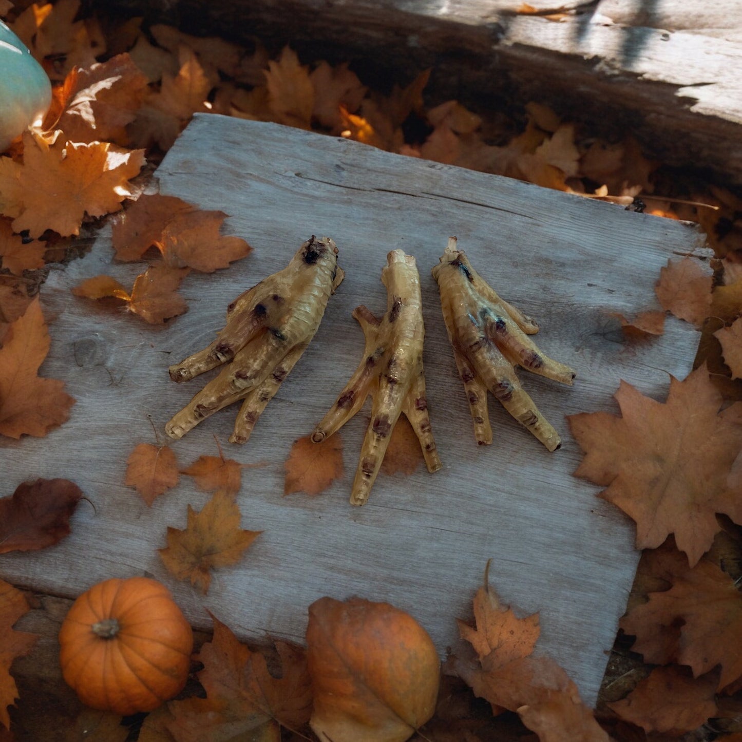 Dehydrated Chicken Paws