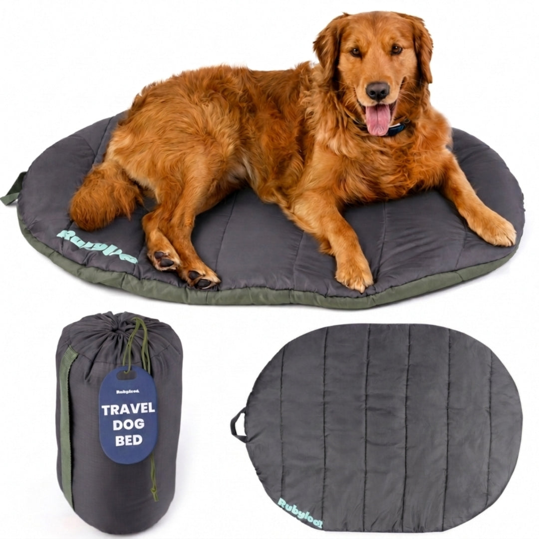 Travel Dog Bed – Foldable, Lightweight, Water Resistant Mat